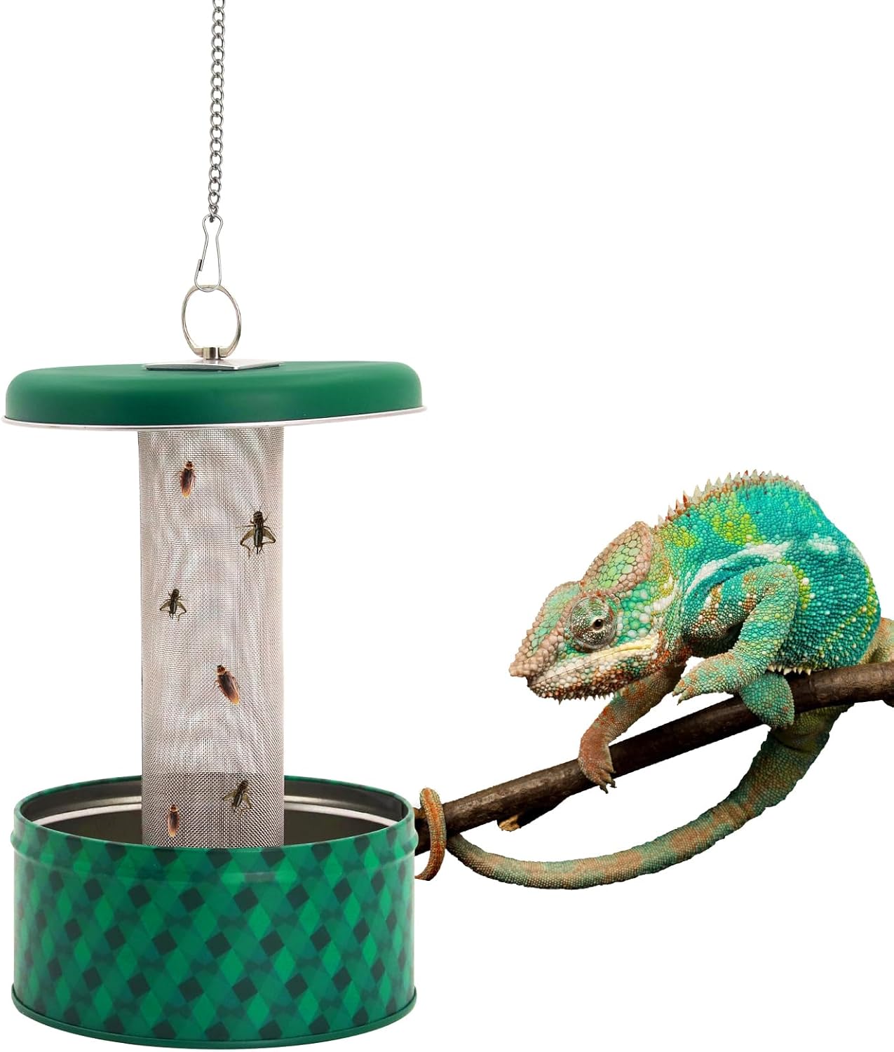 Water Dish Reptile - ヒゲトカゲ用餌入れ カメレオン用餌入れ 昆虫用餌入れ 爬虫類用餌入れボックス 吸盤付き壁掛け式 昆虫用餌入れ