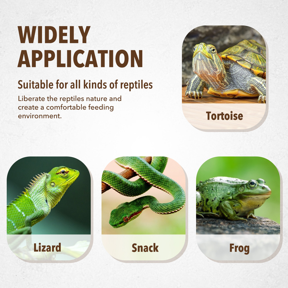 樹脂製ペット用給餌皿、爬虫類用給餌ボウル、滑り止め加工、安定 - Water Dish Reptile のレビューと価格