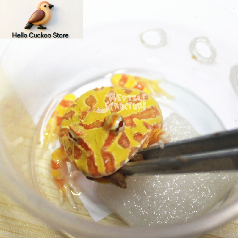 角のあるカエル用、栄養強化飼料、粉末状、爬虫類用、天然成分配 - Calcium Powder Reptile のレビューと価格