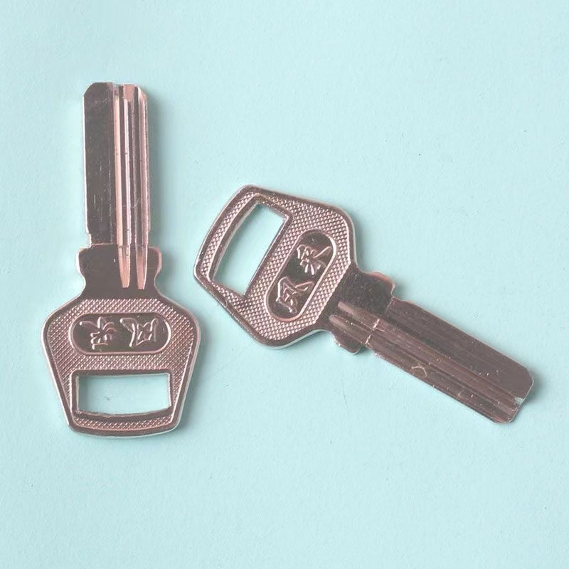 20個入り、小型ハンドルスタイルのガラスドアキーブランク、コ - Glass Door Hinge のレビューと価格